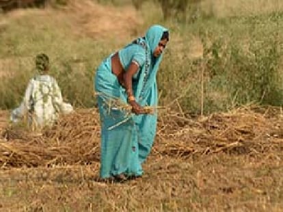 DM of Jhansi and his wife helping farmers.