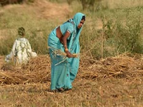 Concern of farmers to repay debt