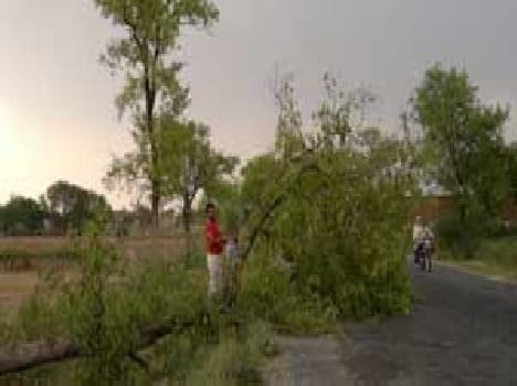 Two killed by lightning