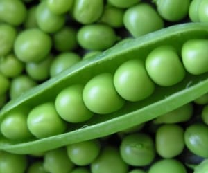 himachali peas exported to pakistan.