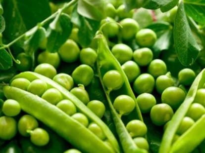 himachali peas exported to pakistan.