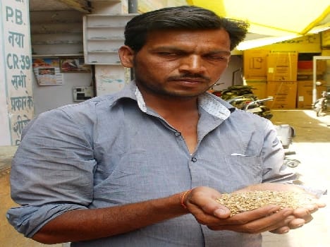 Center Charge Wheat Refusing to buy