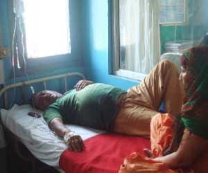 bees attack on people at kangra.