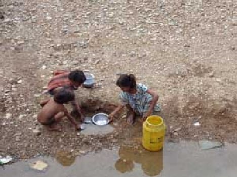 Bat in the area is dependent on the water of life Chuad
