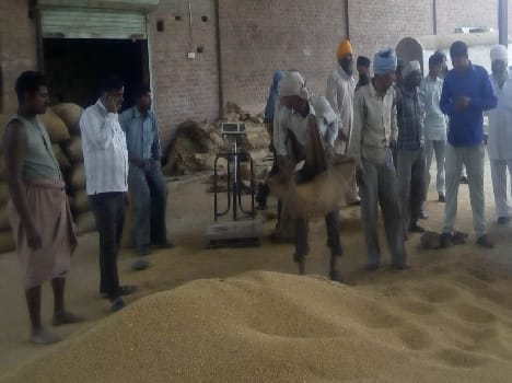 Farmers caught Ghattuli