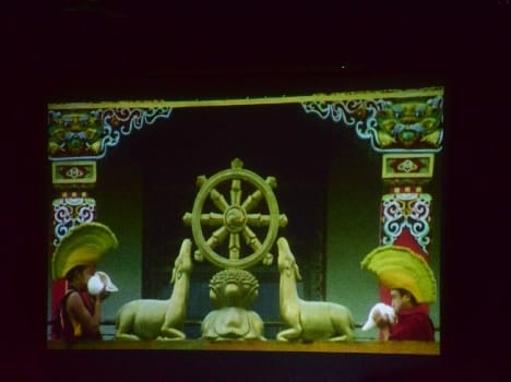 Film Festival