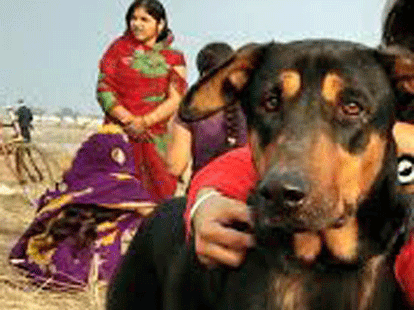 FIR on missing dog in Kanpur