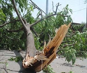 8 people died in storm.