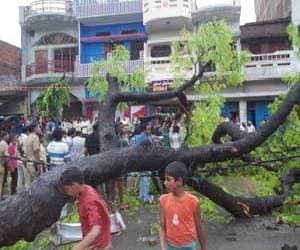 7 died due Storm and rain in up