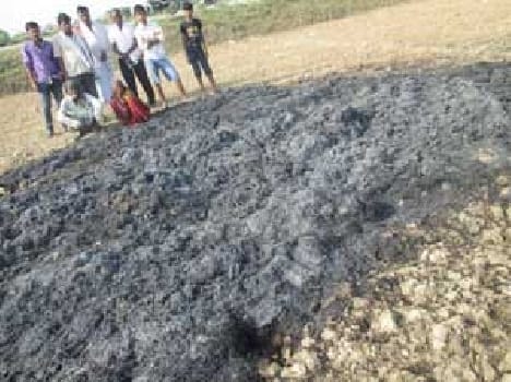 wheat burn  in 3 Bigha 