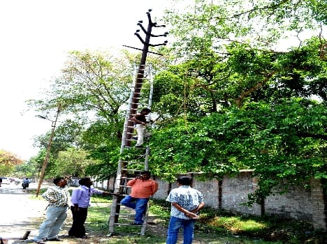 Electricity network as strong gale storm havoc