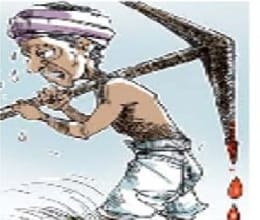 Women farmers on crop failure and two deaths