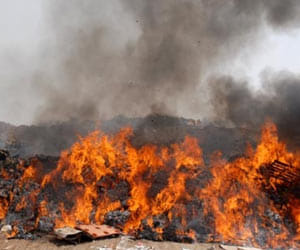 Penalty of rs 5000 on burning garbage in open