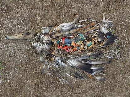 6 reasons that might cause destruction of earth