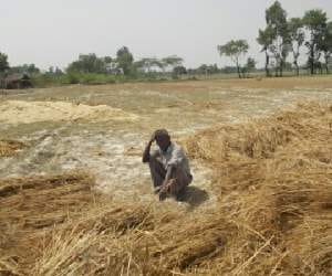 Seeks compensation for ruined crops