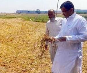 op dhankar controversial statement issue 