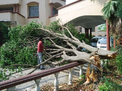 Roof collapsed, killing security guard