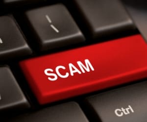 transfer scam in forest dept