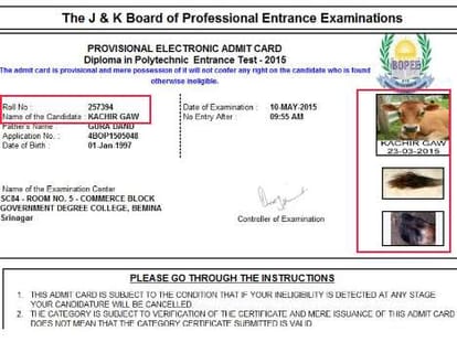 cow gets admit card for professional course test in Jammu and Kashmir