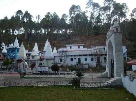 Sonny's Swargashram Binsar stalk.