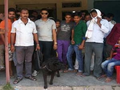 4.50 million of shop theft