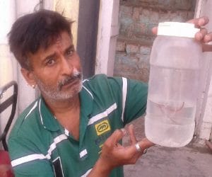 snake with water from tap, agog in people 