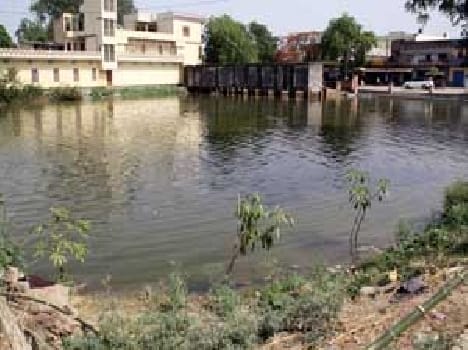 Do not go in the river sculptures made ??complete arrangements