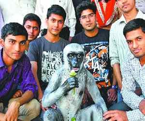 research: machine prepared by students to save from monkey