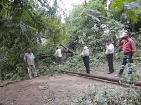 Typhoon skimming thatch , fallen trees , broken power poles