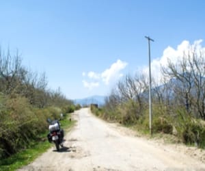 Scam will not be road construction.