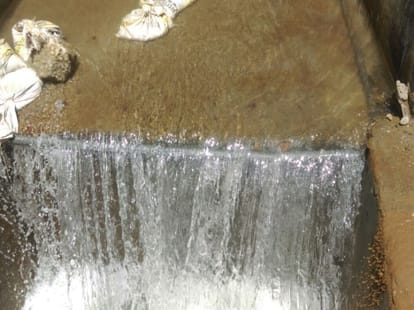 43 species of fishes in danger.