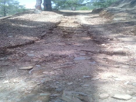 Kmsyar field holding hands roads