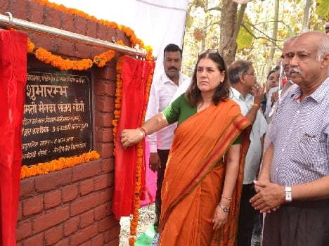 Maneka Gandhi directed the suspension