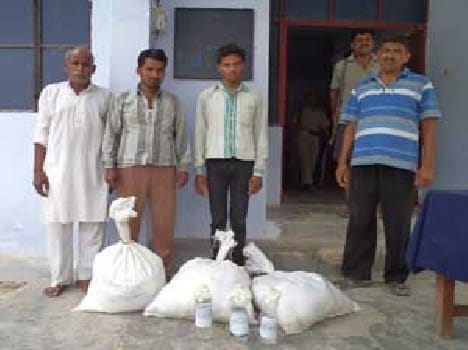 Six people arrested in raids