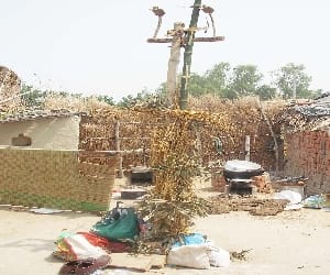 groom changed, bride refuses to marry