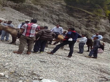 The engineers have come from horses Muaynapidnr Valley engineer to go sit in horses.