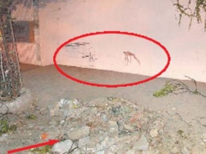 hit and run case in kanpur