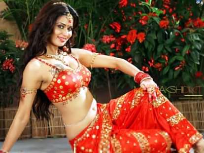 Meenakshi Dixit bollywood debut to P se PM tak