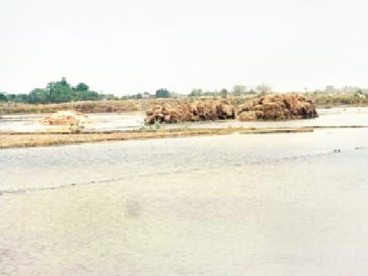 Man beheaded for better rains and harvest in jharkhand