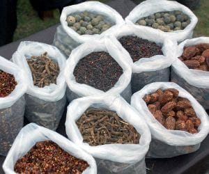 herbs ceased at lakhanpur toll plaza