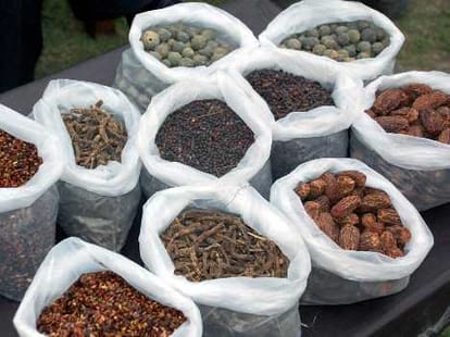 herbs ceased at lakhanpur toll plaza