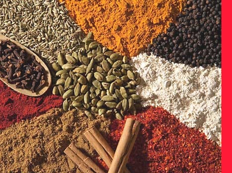 indian spices that are effective in treatment of cancer
