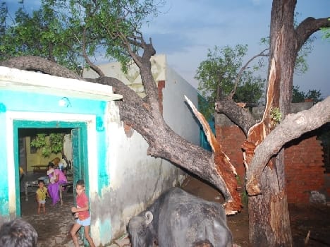 storm in mathura 