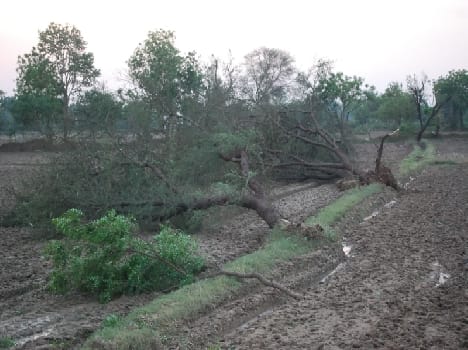view after heavy storm in mathura