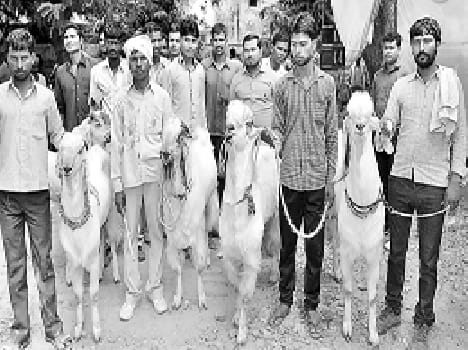 Best Stockman Shivvir Singh , honored