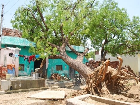 life after heavy storm in mathura