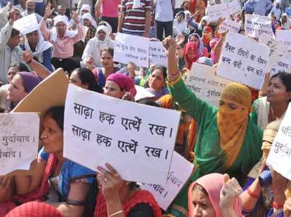 4073 guest teachers job issue, haryana govt will reply in highcourt