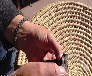 man cuts snake by blade