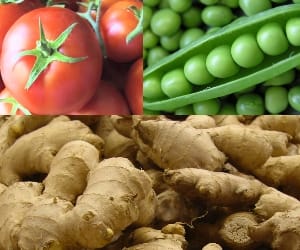 crop insurance of ginger, tomato and peas.