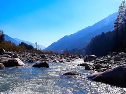 Uncle and nephew took a bath in the Yamuna river drowned.